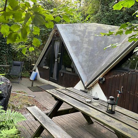 Chalet Scandinave Avec Sauna Ir - In The Woods Gesves Exterior photo